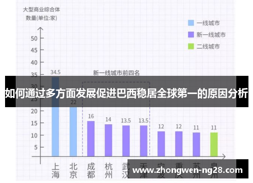 如何通过多方面发展促进巴西稳居全球第一的原因分析