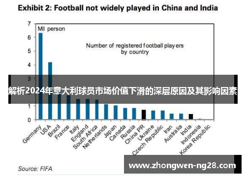 解析2024年意大利球员市场价值下滑的深层原因及其影响因素