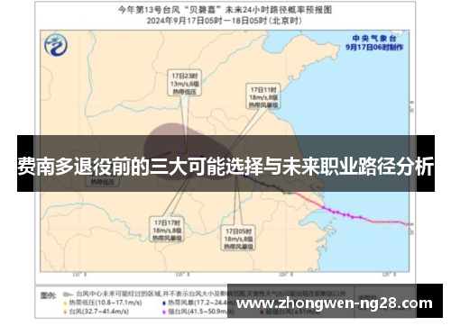 费南多退役前的三大可能选择与未来职业路径分析