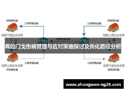 弗拉门戈伤病管理与应对策略探讨及优化路径分析
