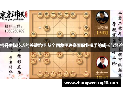 提升象棋技巧的关键路径 从全国象甲联赛看职业棋手的成长与经验