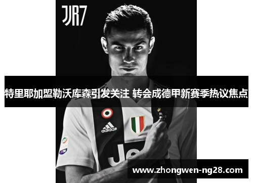 特里耶加盟勒沃库森引发关注 转会成德甲新赛季热议焦点