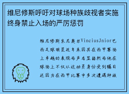 维尼修斯呼吁对球场种族歧视者实施终身禁止入场的严厉惩罚 维尼修斯呼吁对球场种族歧视者实施终身禁止入场的严厉惩罚