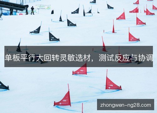 单板平行大回转灵敏选材,测试反应与协调 单板平行大回转灵敏选材,测试反应与协调
